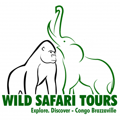 cropped-wildsafaritours
