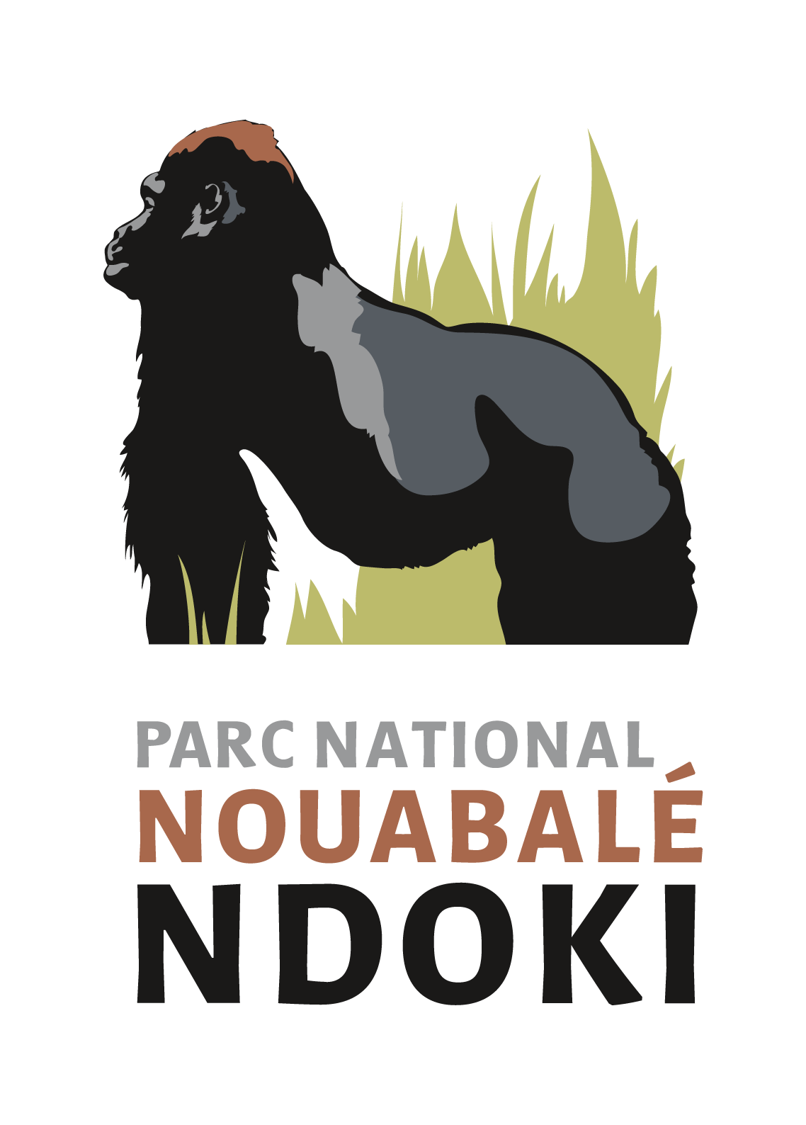 PNNN_FR_VER_CO_MAR-01